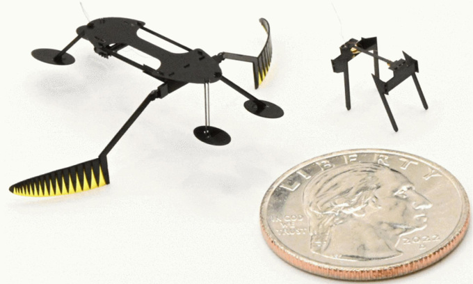 Robot côn trùng nhỏ và nhanh kỷ lục