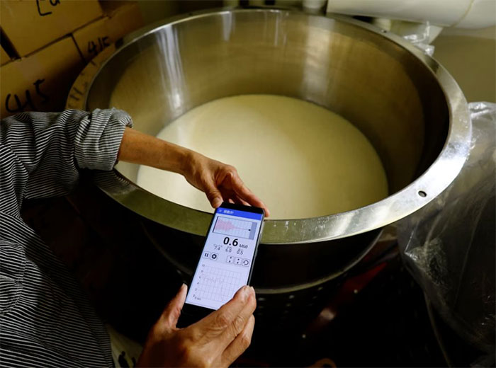 Chỉ có thể là Nhật Bản: Nhà máy sản xuất sake duy nhất ở Tokyo cho rượu 