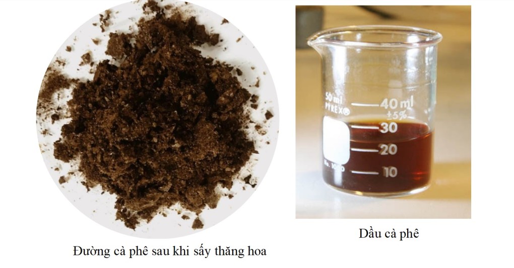 Biến bã cà phê thành dầu, đường sinh học