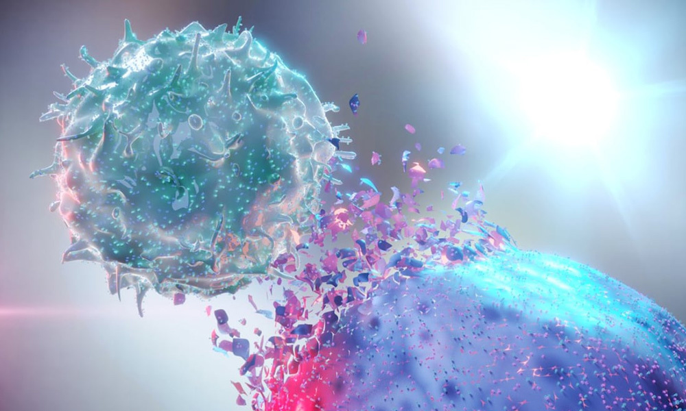 Tìm ra cách phục hồi tế bào chống ung thư