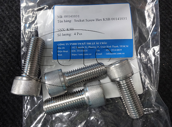 Socket Screw Hex KSB 00141031