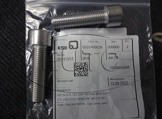 Socket Screw Hex KSB 00141913