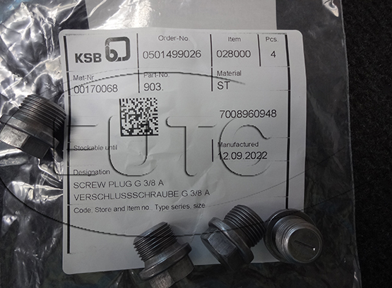 Screw Plug KSB 00170068