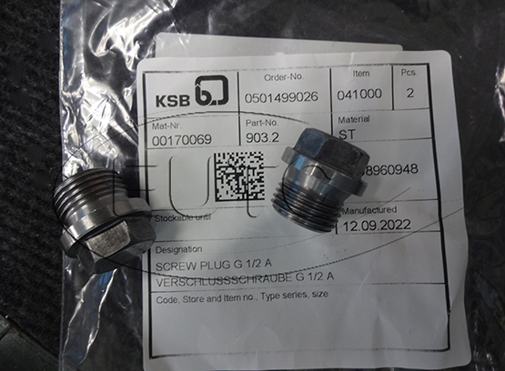 Screw Plug KSB 00170069