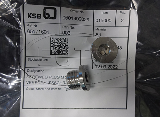 Screw Plug KSB 00171601