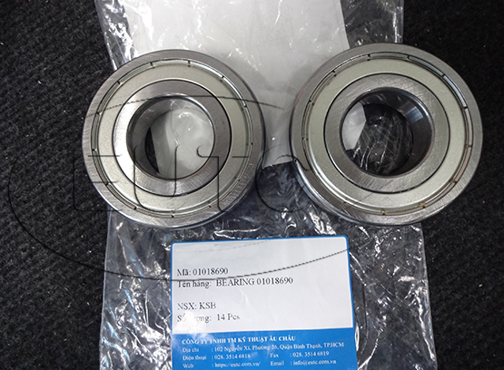 Bearing KSB 01018690