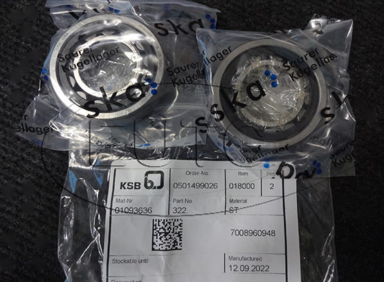 Bearing Radial Roller KSB 0109