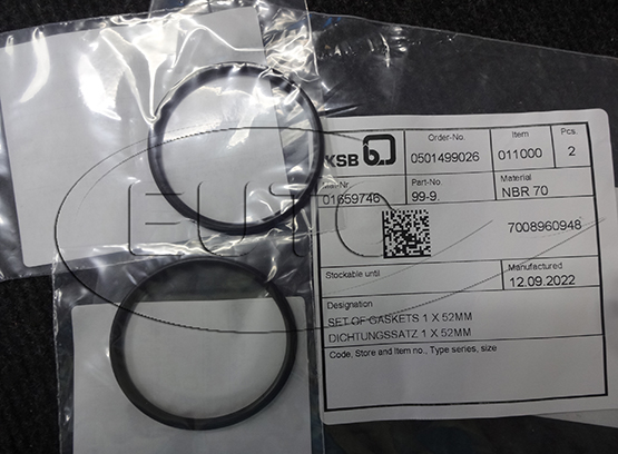 Set Gasket KSB 01659746