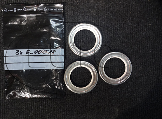 Radial shaft seal ring