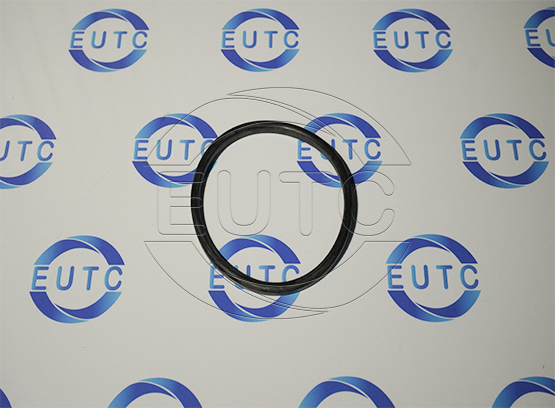 Gasket DN80 EPDM 11104 DIN 11851/Handtmann