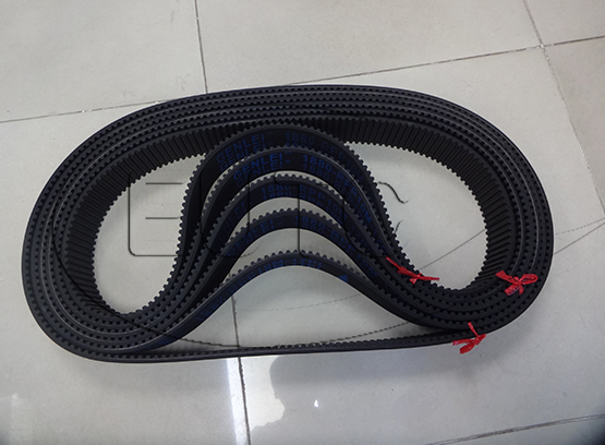 TOOTH RIB DOUBLE TIMING BELT