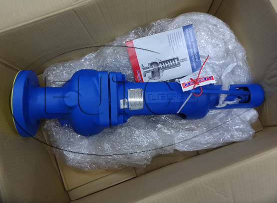 SAFETY RELIFT VALVE