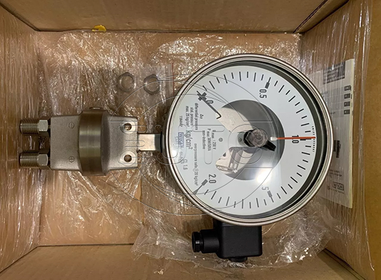 Differential pressure gauge