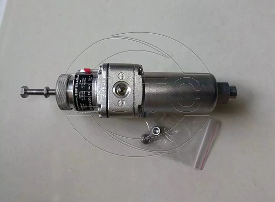 High flow filter/regulator