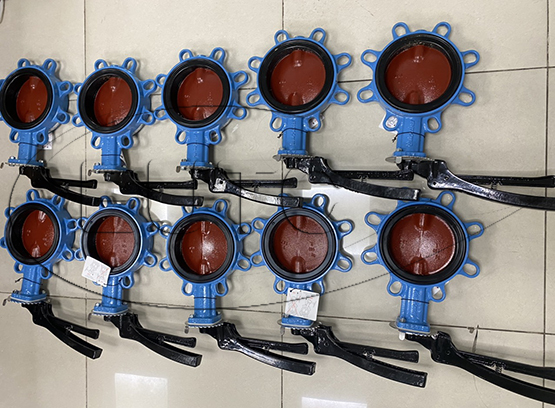 Butterfly valve BOAX-BOAX-B 16bar DN50 T2 PN16