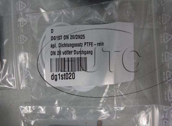 DG1ST DN 20 Repair kit Virgin PTFE