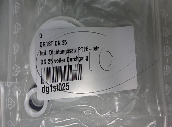 DG1ST DN 25 Repair kit Virgin PTFE