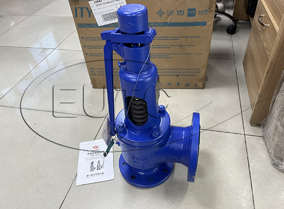 Hot steam safety valve DN80