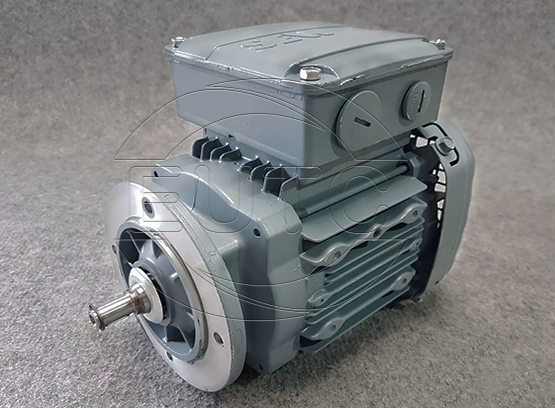 AC Motors