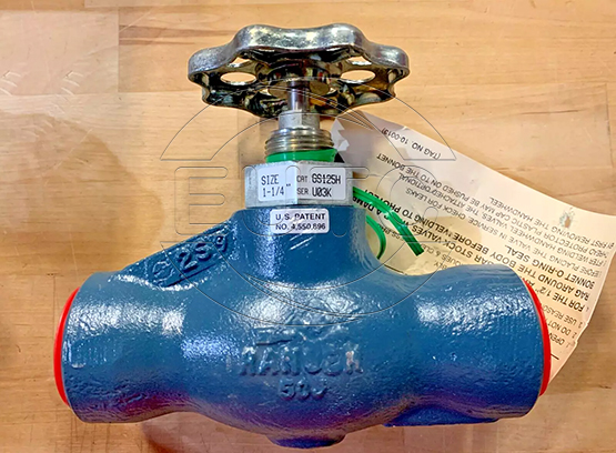 Globe Valve