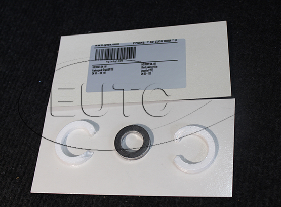 HG1S6GT DN 100 Gland packing rings