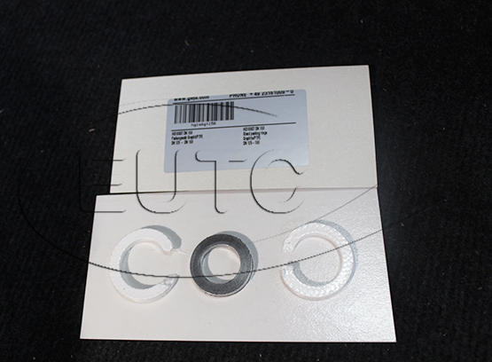 HG1S6GT DN 150 Gland packing rings