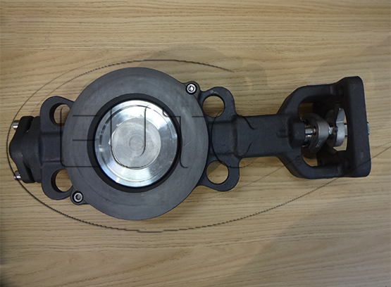 Keystone Series HiLok High Performance Butterfly Valve HLS-0100W0M42025-CQS00SHR0G0CTIB