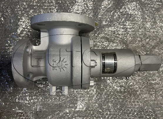 Safety Relief Valve