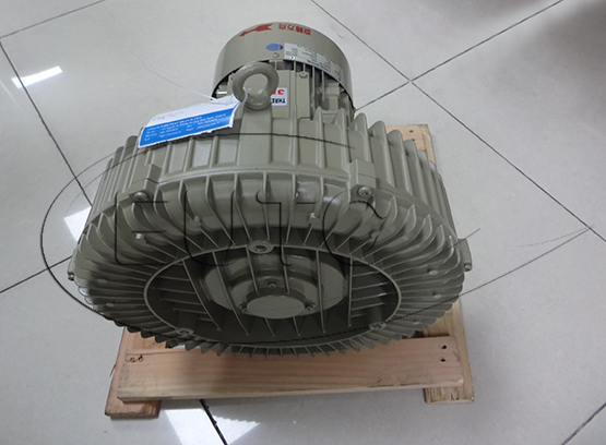 Scallop Air Pump