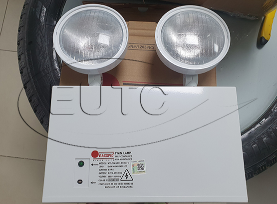 Ceiling/Wall mounted emergency light 2x3W LED bulbs with UPS > 3 hours. Fire protection stamp