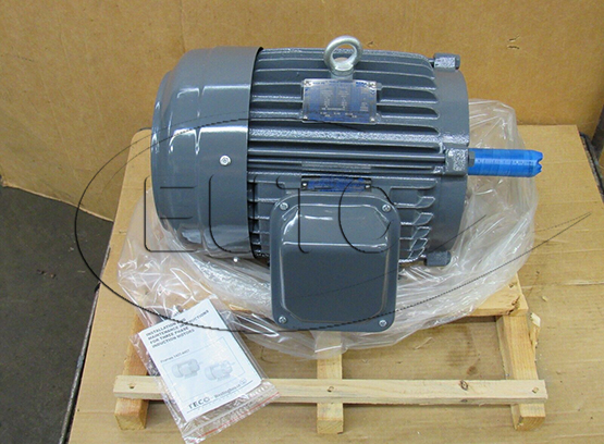 Teco-Westinghouse 3HP Cast Iron Electric Motor