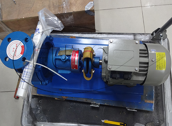 Heat transfer oil pump