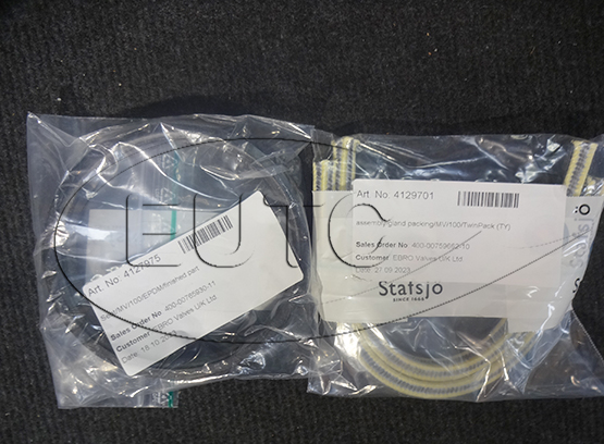 Seal Kit STAFSJO for MVL010A09P00