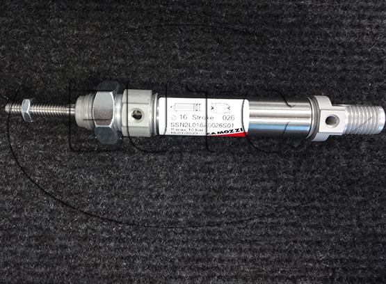 Pneumatic Cylinder, 24N2A16A026VN01